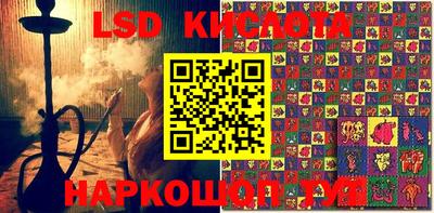 крисы Апшеронск