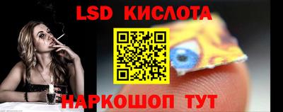 прущие грибы Абакан