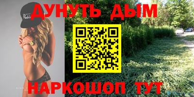 прущие грибы Абакан
