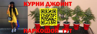 apvp Аргун