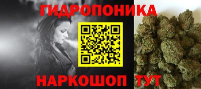 прущие грибы Абакан